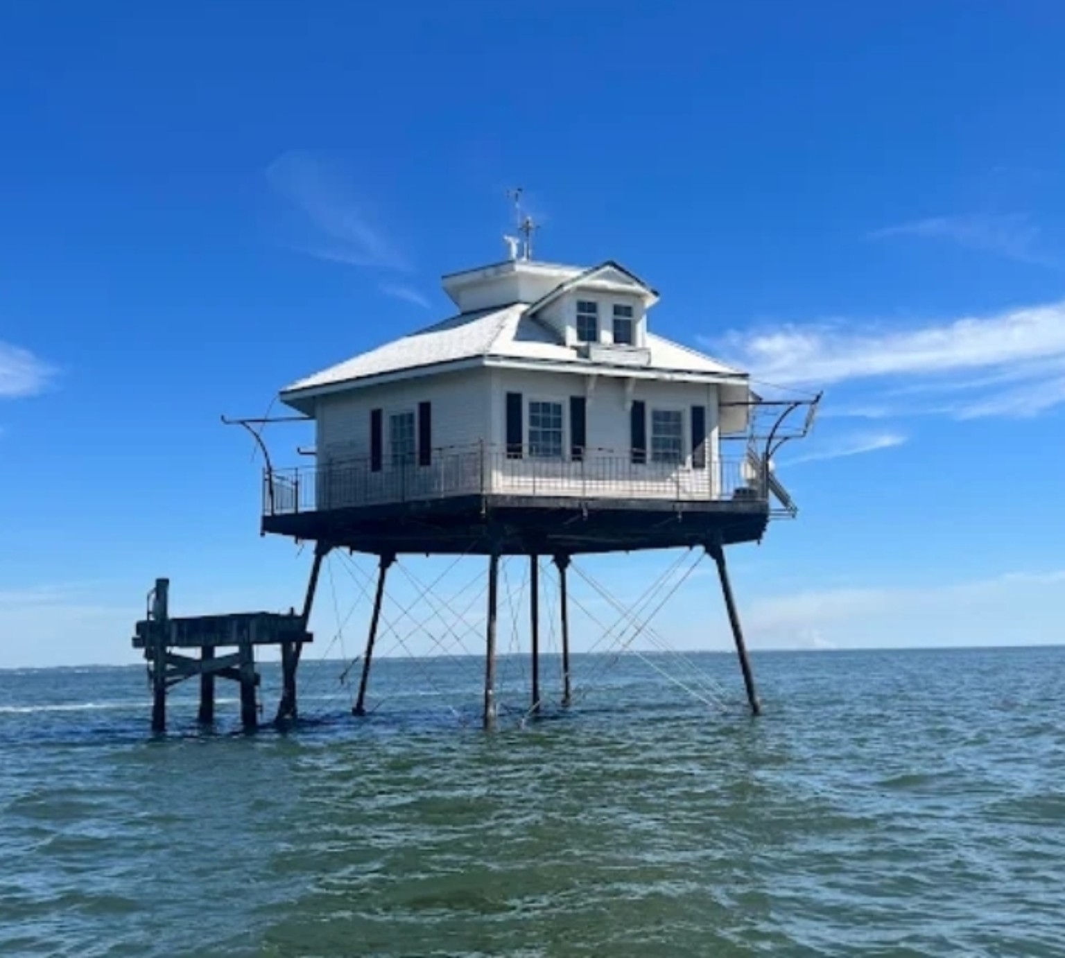 Gulf Coast fishing success